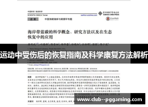 运动中受伤后的恢复指南及科学康复方法解析
