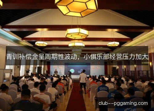 青训补偿金呈周期性波动，小俱乐部经营压力加大